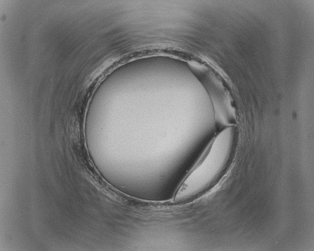 X0000064770969200603131430