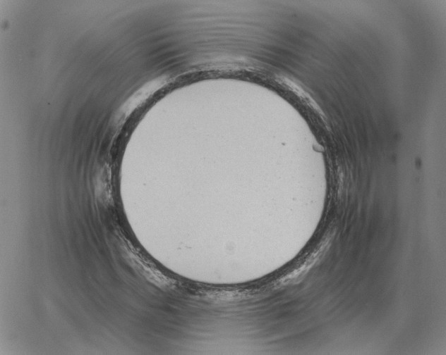 X0000064770970200603131429