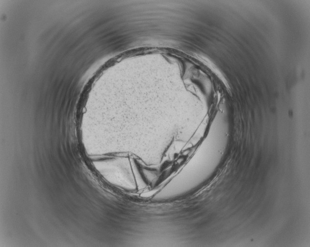 X0000064770972200603131429