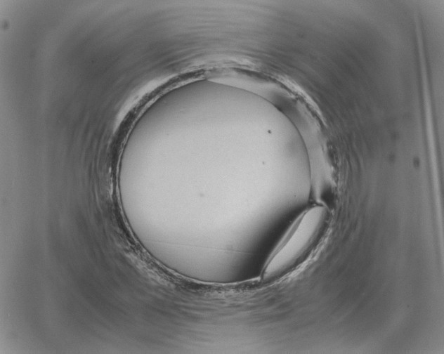 X0000064770973200603131429