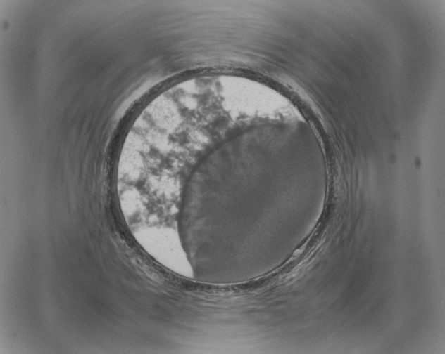 X0000064770975200603131429