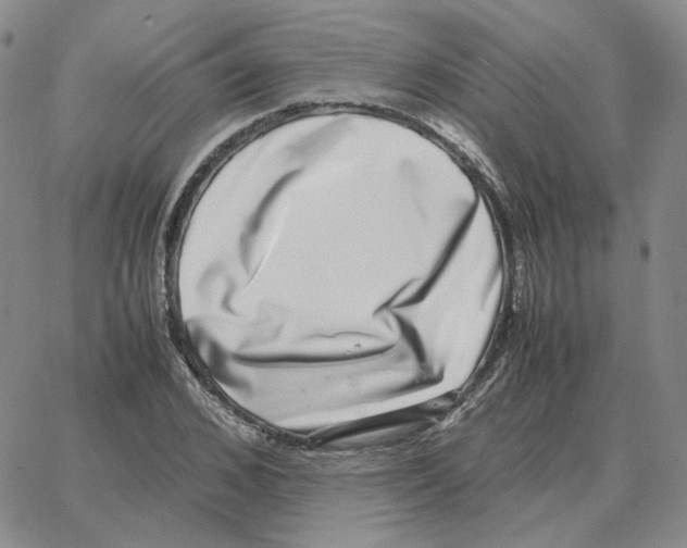 X0000064770976200603131429