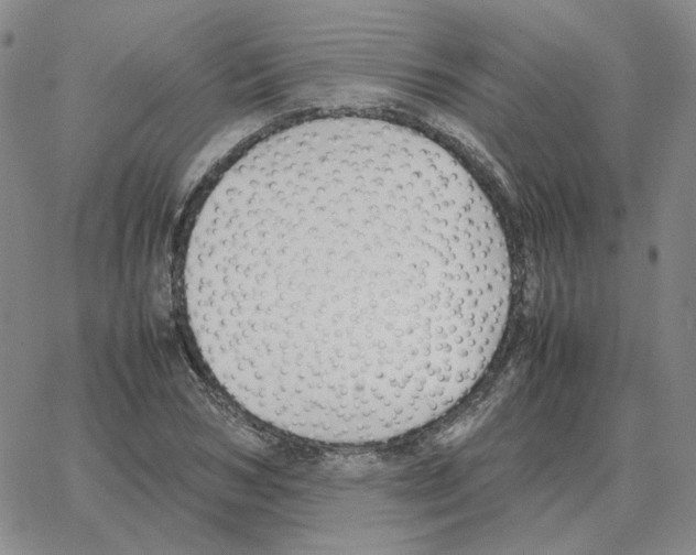 X0000064770978200603131429