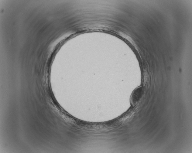 X0000064770979200603131429