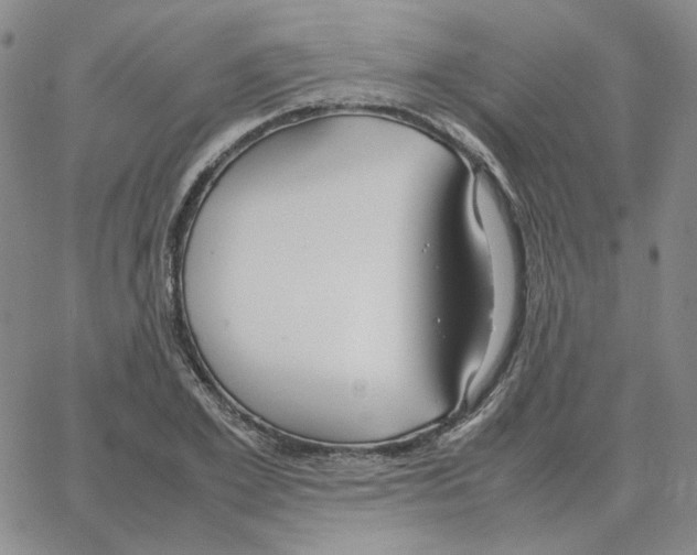 X0000064770981200603131429