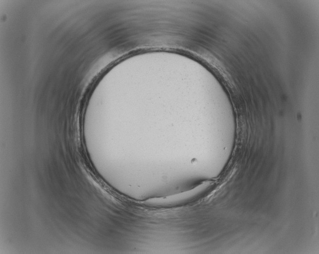 X0000064770982200603131429