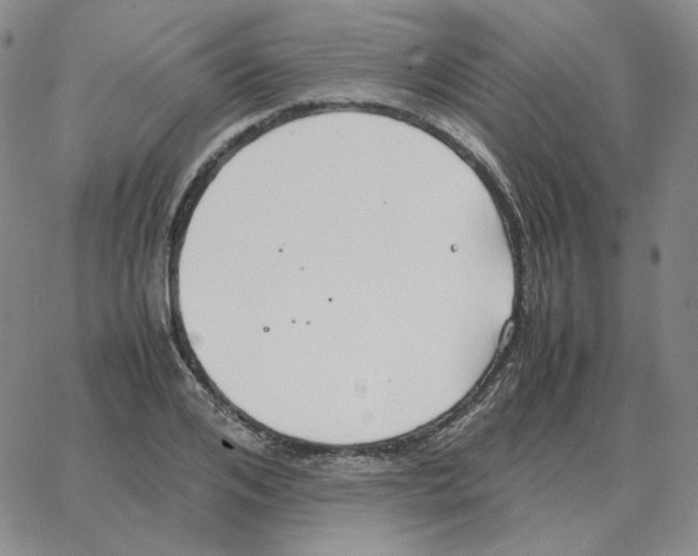 X0000064770984200603131429