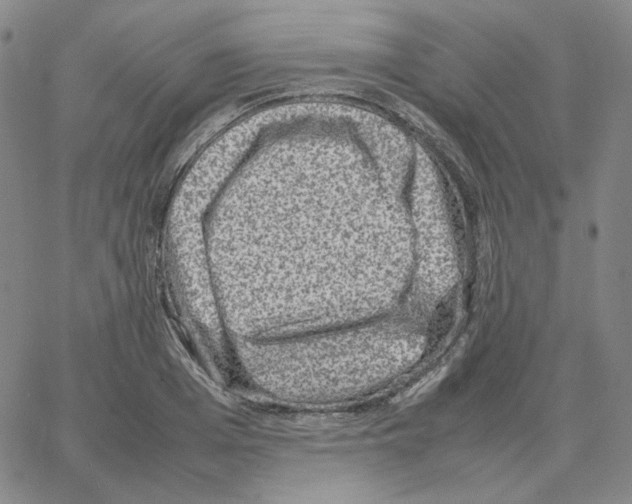 X0000064770985200603131429