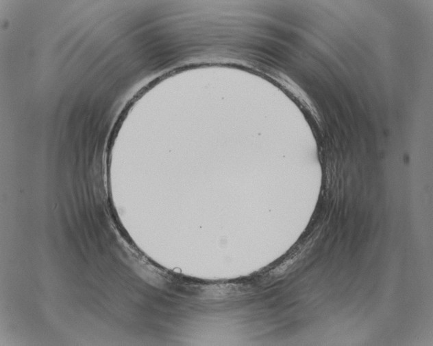 X0000064770988200603131429