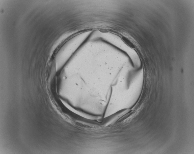 X0000064770989200603131429