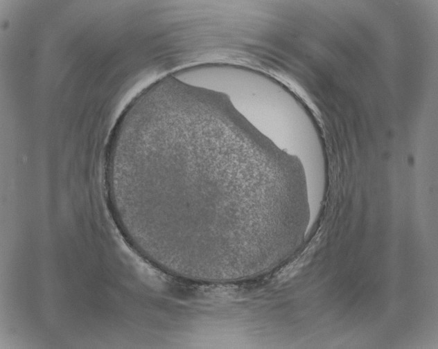 X0000064770991200603131429