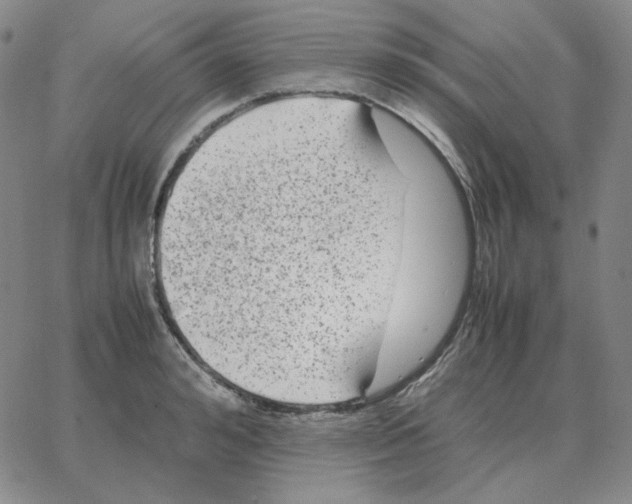 X0000064770992200603131429