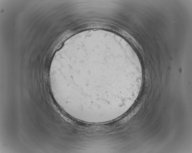 X0000064770993200603131429