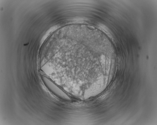 X0000064770994200603131429