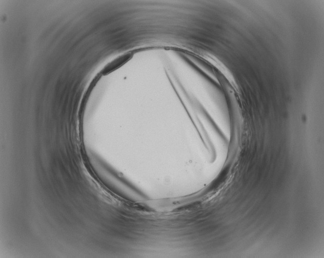 X0000064770996200603131429