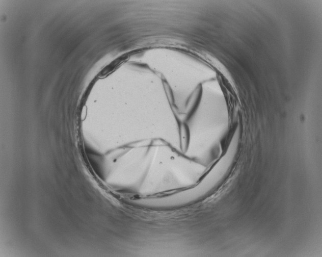 X0000064770997200603131429