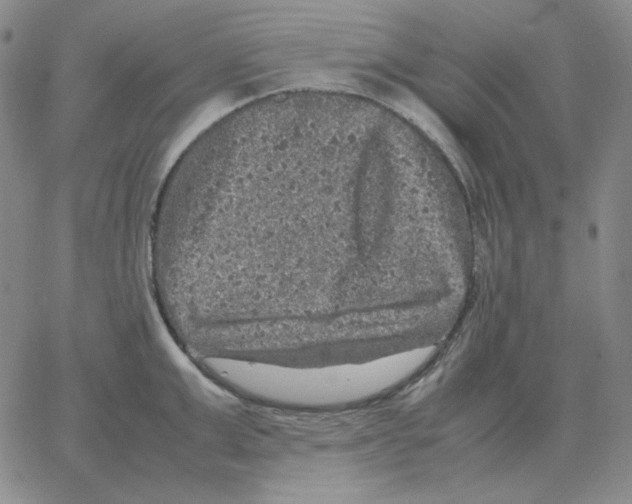 X0000064770999200603131429