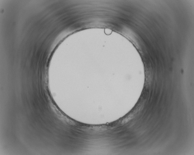 X0000064771000200603131429