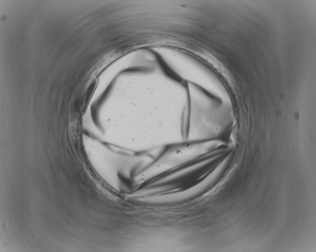 X0000064771001200603131429