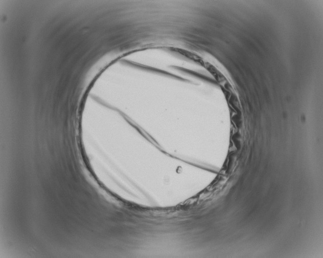 X0000064771005200603131429