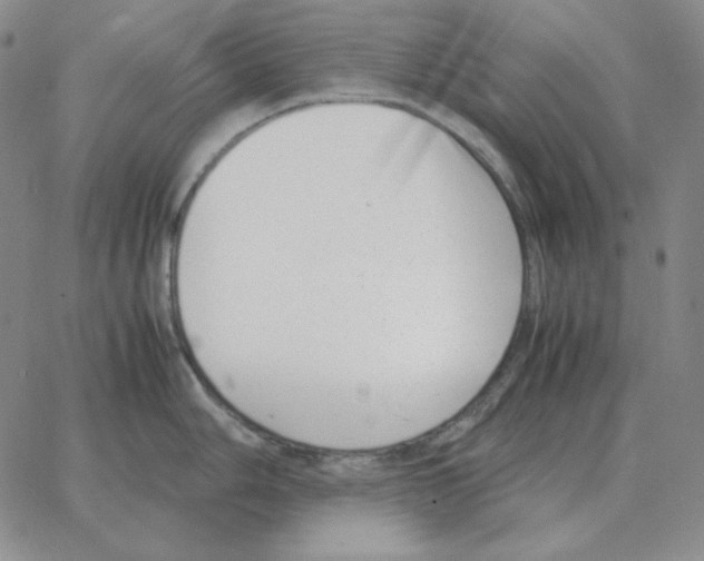 X0000064771006200603131429