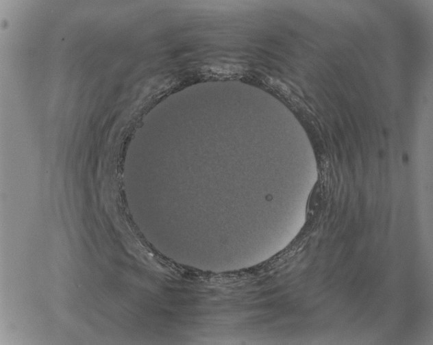 X0000064771009200603131428