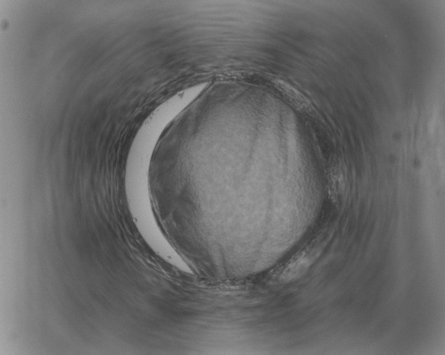 X0000064771010200603131428