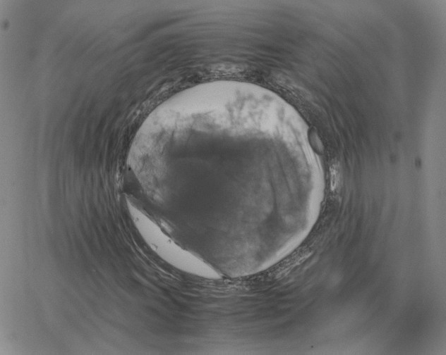 X0000064771011200603131428