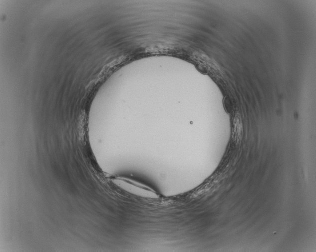 X0000064771012200603131428