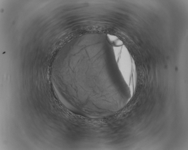 X0000064771013200603131428