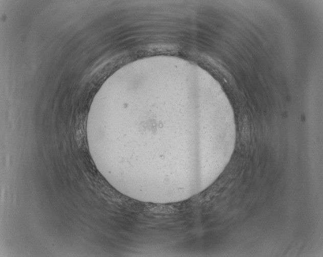 X0000064771015200603131428