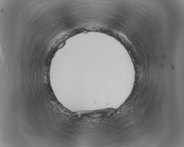 X0000064771016200603131428