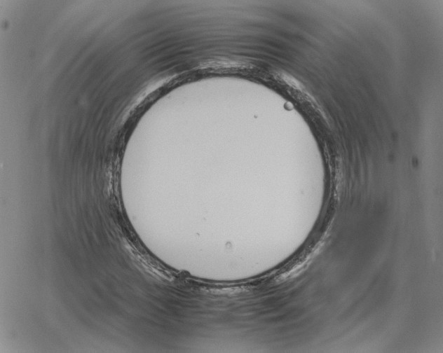 X0000064771017200603131428