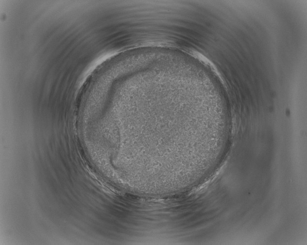 X0000064771019200603131428