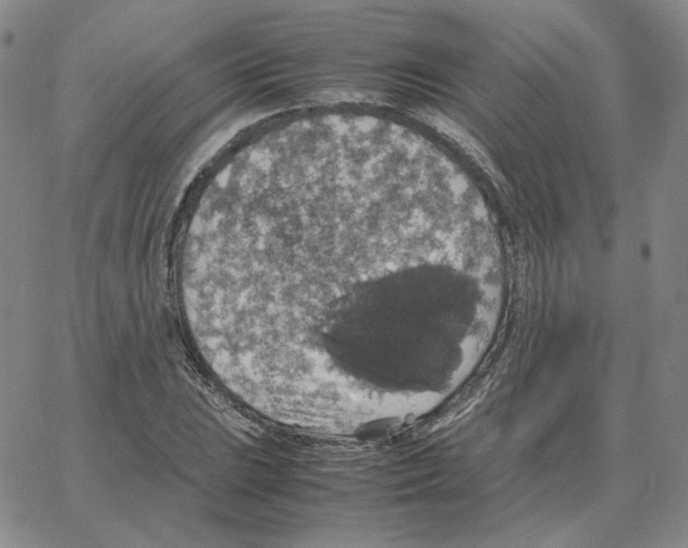 X0000064771023200603131428