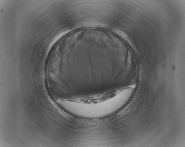 X0000064771024200603131428