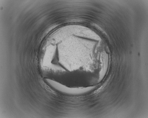 X0000064771025200603131428