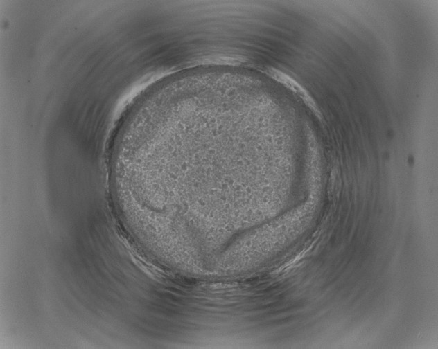 X0000064771027200603131428