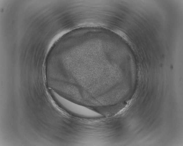 X0000064771030200603131428