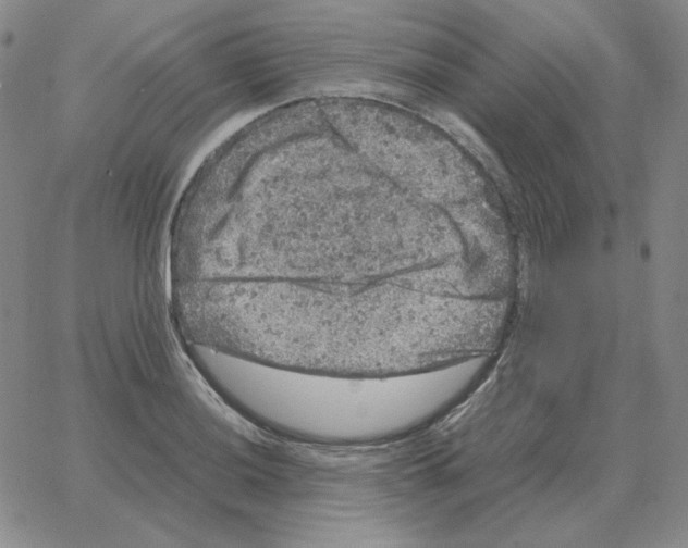 X0000064771036200603131429