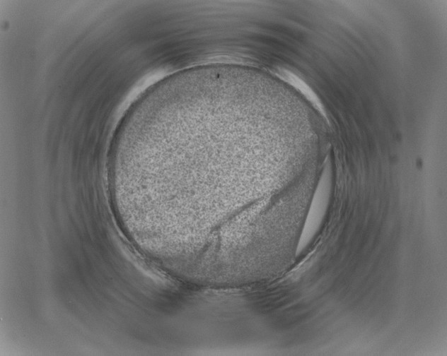 X0000064771043200603131429