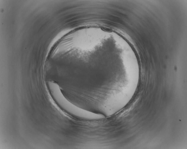 X0000064771045200603131429