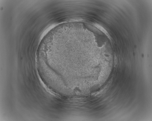 X0000064771047200603131429