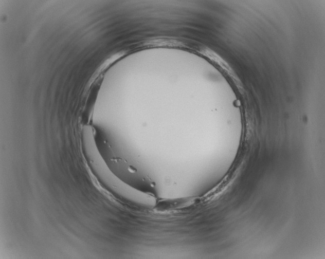 X0000064771049200603131429