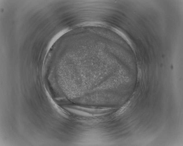 X0000064771050200603131429