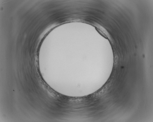 X0000064771051200603131429