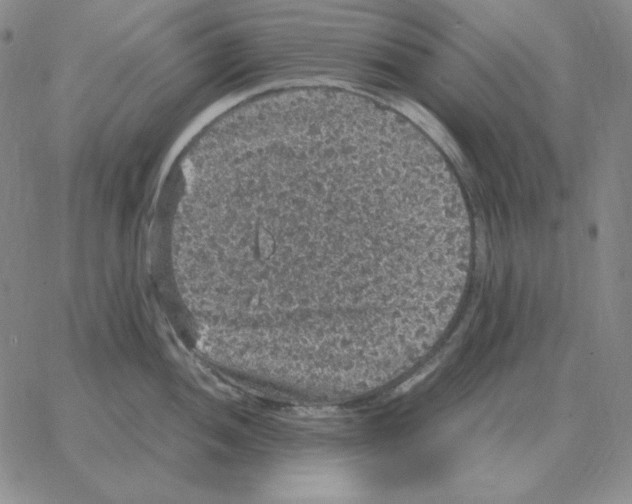 X0000064771052200603131429