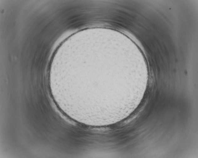 X0000064771053200603131429