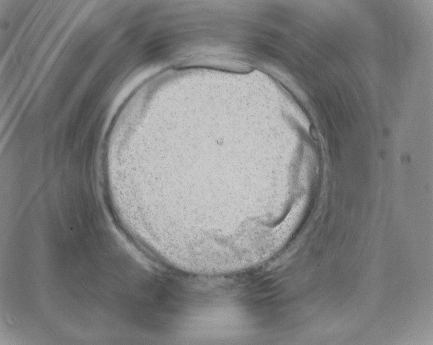 X0000064771056200603131429