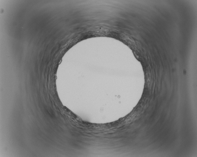 X0000064771057200603131428